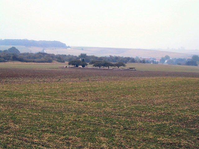 IMG 0429