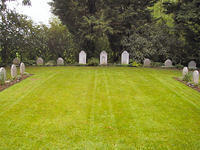 IMG 0045